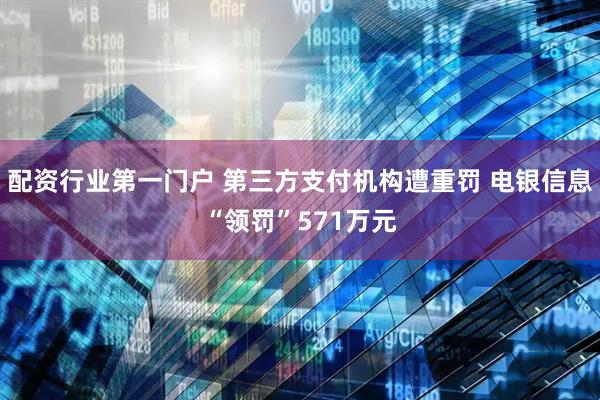 配资行业第一门户 第三方支付机构遭重罚 电银信息“领罚”571万元
